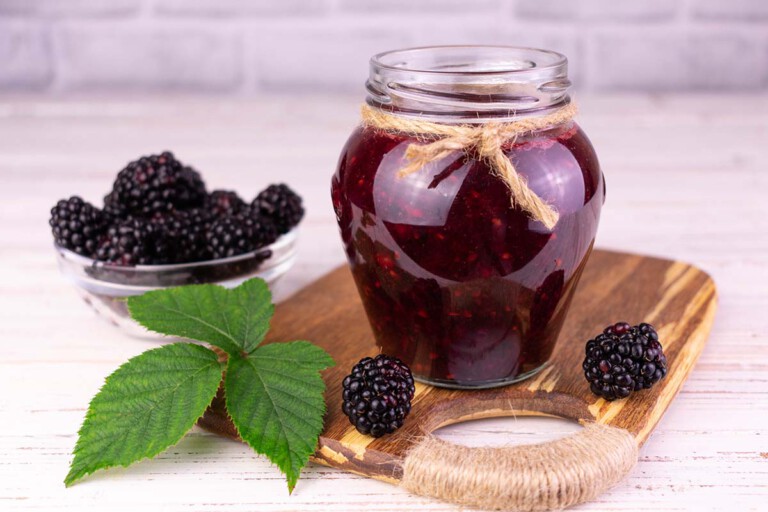 Mermelada De Moras Casera Sabor A Naturaleza En Tus Tostadas