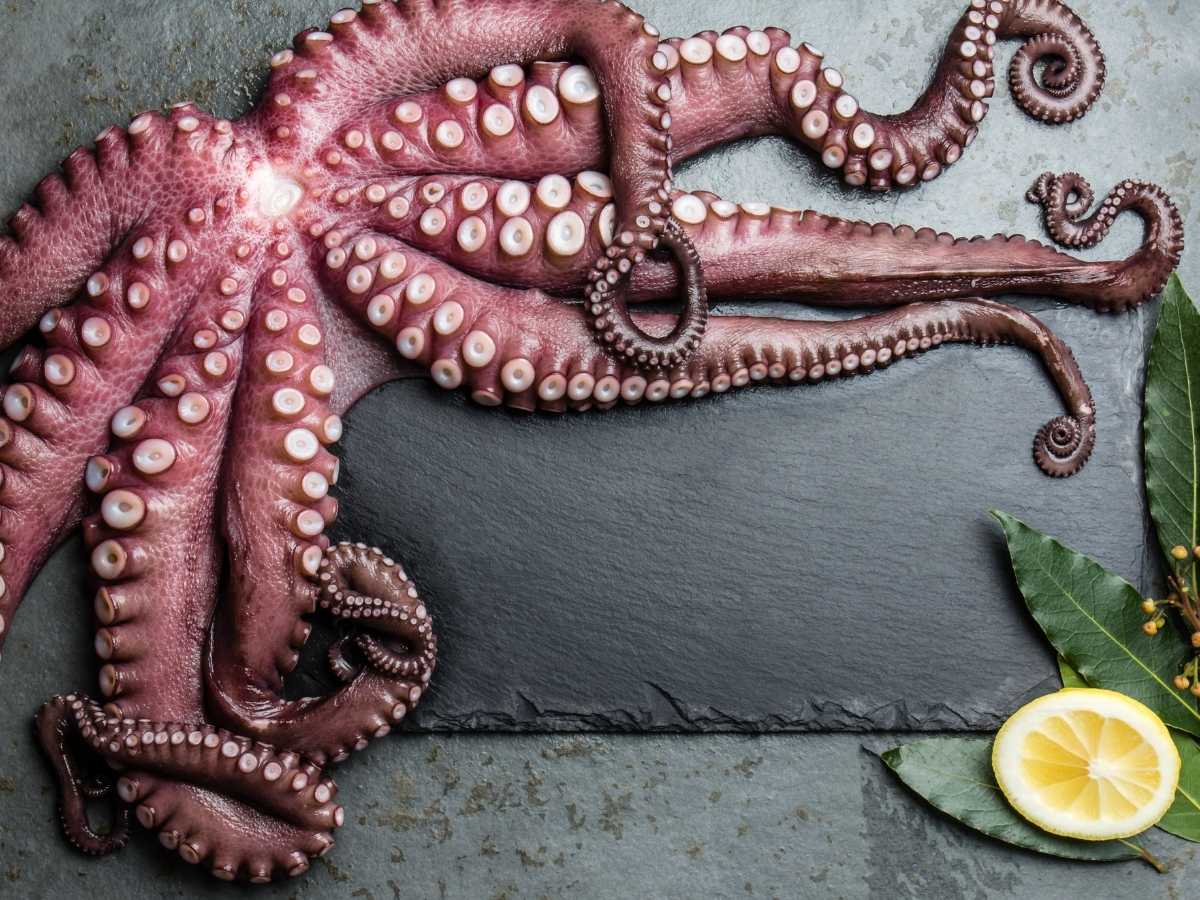 Recetas Con Pulpo Ligeras Y F Ciles Pequerecetas