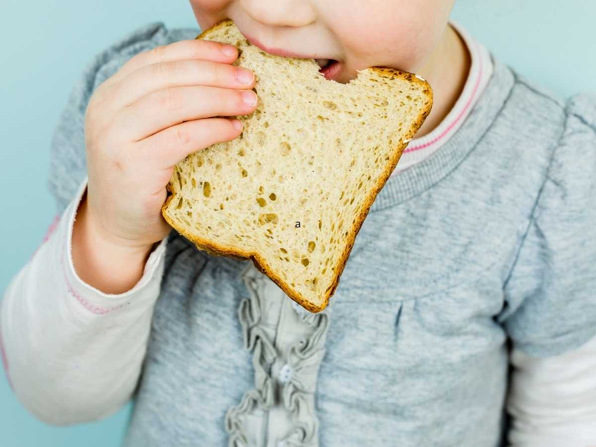 Pan Alimentación Infantil