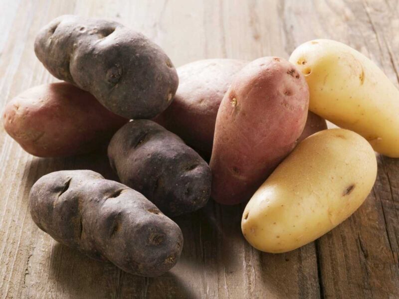 tipos de patatas - Propiedades de la patata y beneficios de este tubérculo