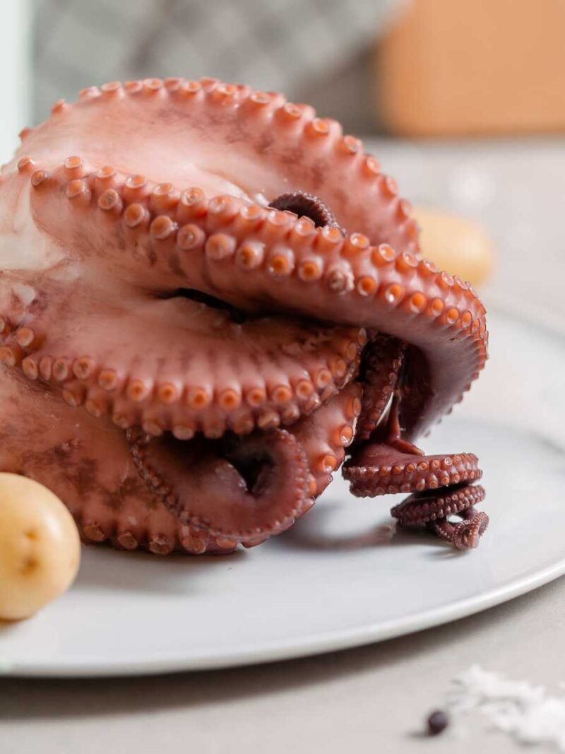 pulpo cocido