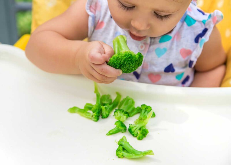 brocoli para bebés BLW