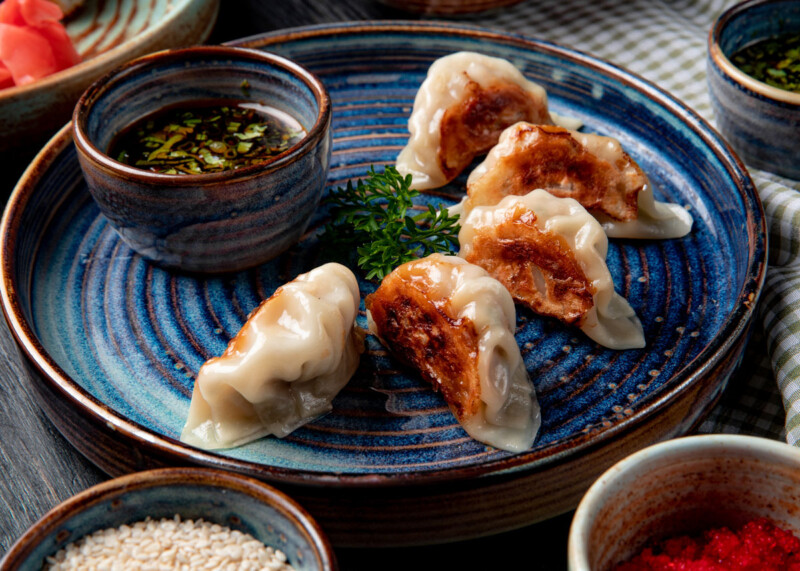 gyoza de pollo japonesa