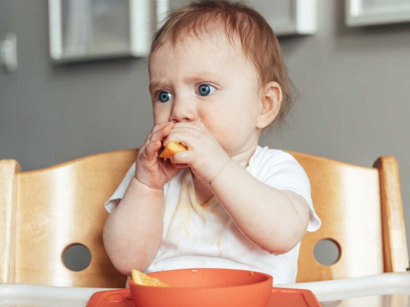 naranja blw - Cómo introducir la fruta BLW para bebés