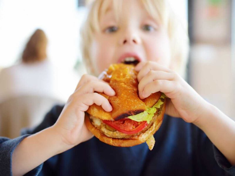 Fast Food Para Niños