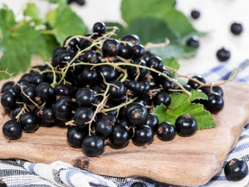Grosellas Negras - Las 20 Frutas De Verano Más Populares