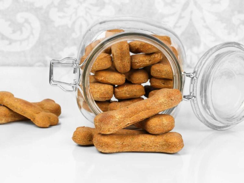 como almacenar galletas para perros - Galletas caseras para perros: 2 recetas saludables para mimar a tu mascota