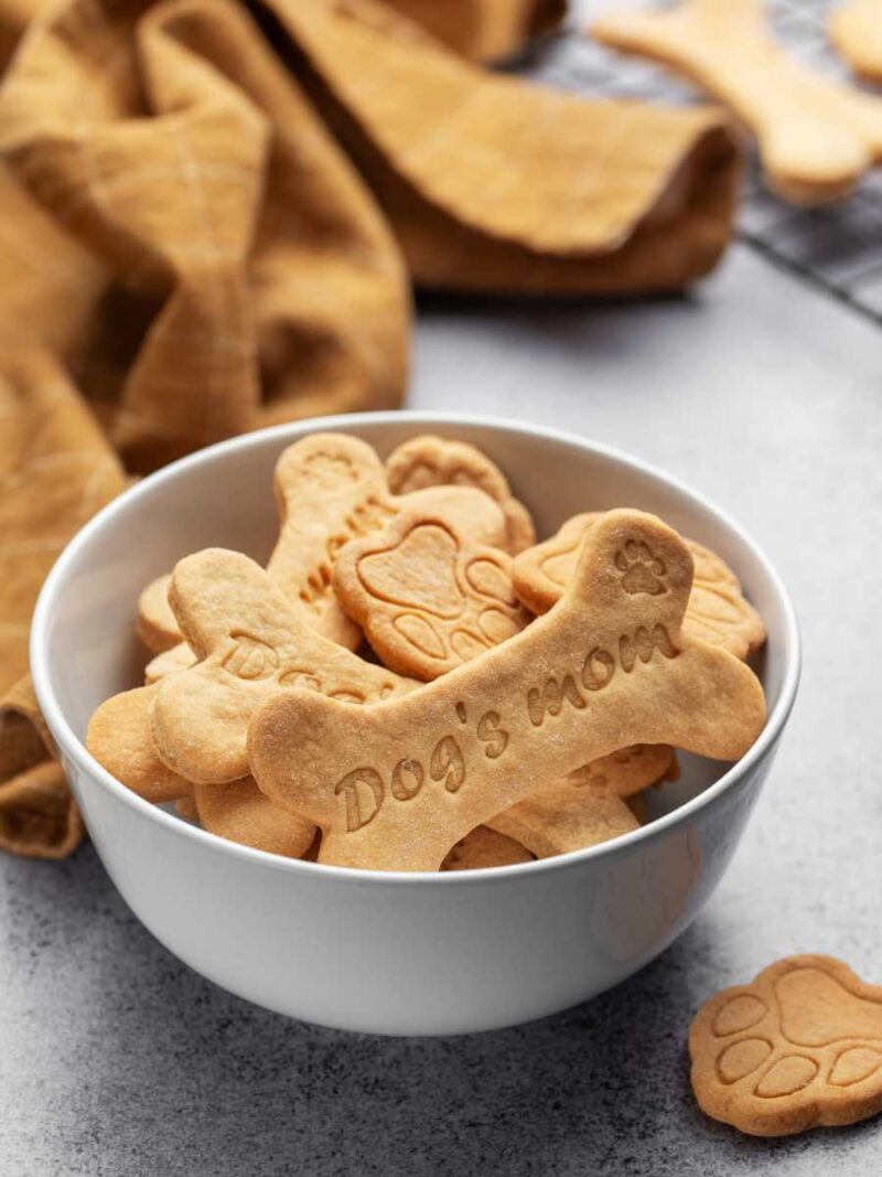 galletas caseras para perros - Galletas caseras para perros: 2 recetas saludables para mimar a tu mascota