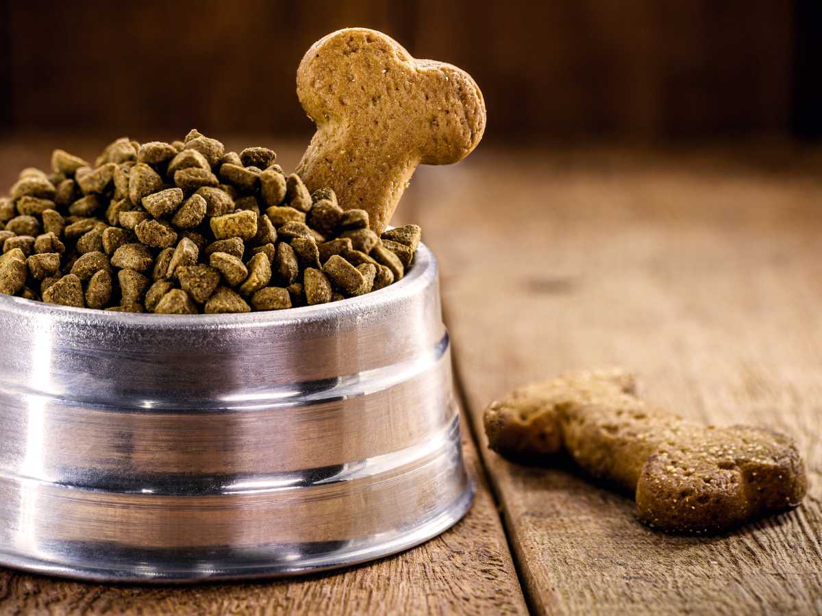 galletas saludables para perros - Galletas caseras para perros: 2 recetas saludables para mimar a tu mascota