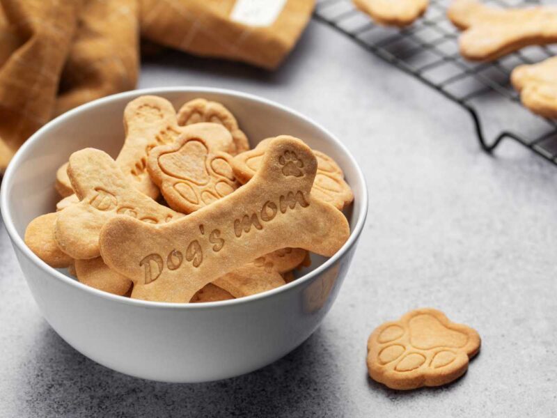 receta facil galletas para perros - Galletas caseras para perros: 2 recetas saludables para mimar a tu mascota