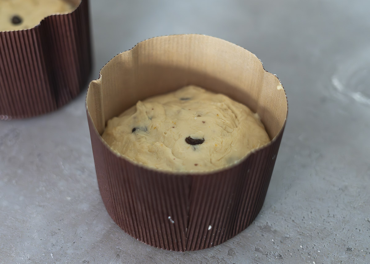 masa panettone moldes - Panettone en Mycook